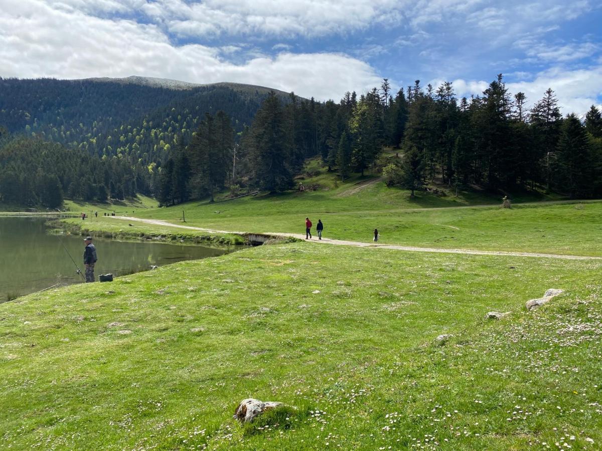 Gite Chaleureux Au Lac De Payolle Campan Eksteriør billede