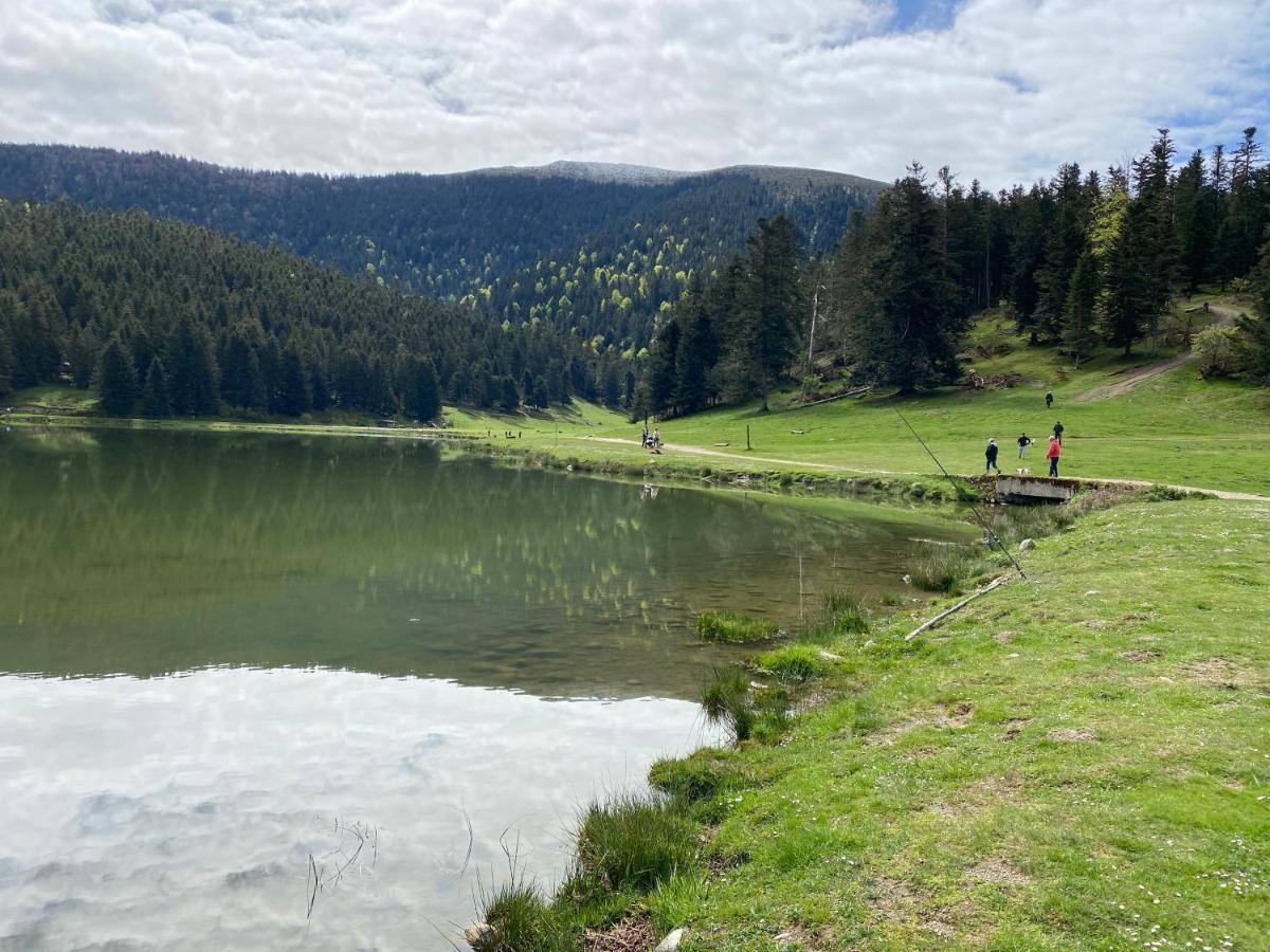 Gite Chaleureux Au Lac De Payolle Campan Eksteriør billede