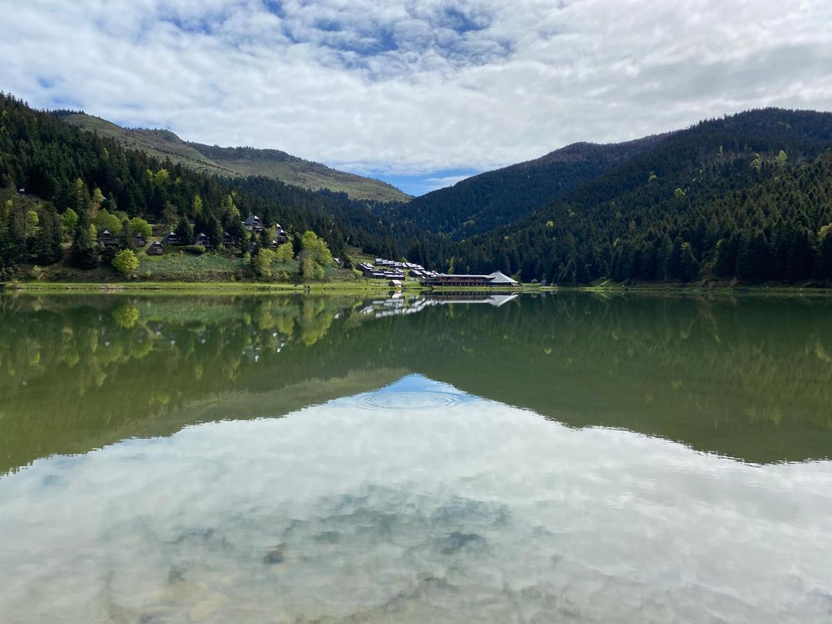 Gite Chaleureux Au Lac De Payolle Campan Eksteriør billede