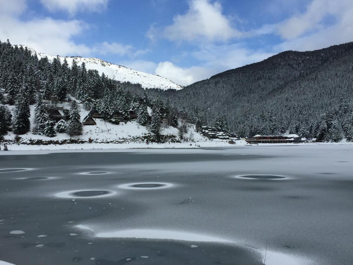 Gite Chaleureux Au Lac De Payolle Campan Eksteriør billede